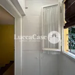 Rent 4 bedroom apartment of 100 m² in Lucca