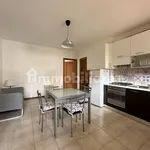 Rent 3 bedroom apartment of 65 m² in Pisa