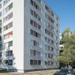 Rent 2 bedroom apartment of 45 m² in Wolfsburg