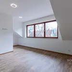 Rent 4 bedroom house in Praha - východ