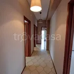 Rent 3 bedroom apartment of 110 m² in Catania