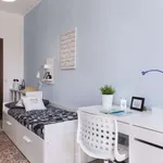 Rent a room in bologna