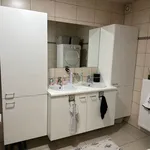 Rent 1 bedroom apartment in Zele