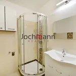 Rent 3 bedroom apartment of 72 m² in České Budějovice