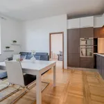 Rent 3 bedroom apartment of 70 m² in Prague