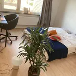 Rent 3 bedroom house in Koksijde