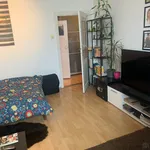 Rent 1 bedroom apartment in Brno