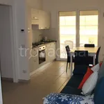 Rent 3 bedroom apartment of 58 m² in Tortoreto