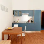 Rent 1 bedroom apartment of 24 m² in Prague