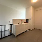 Rent 3 bedroom house in Aalst