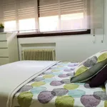 Rent a room of 220 m² in Madrid