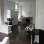 Huur 1 slaapkamer appartement van 38 m² in Rotterdam