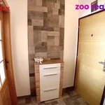 Rent 3 bedroom apartment of 67 m² in České Budějovice