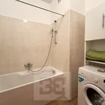 Rent 2 bedroom apartment in Praha 3