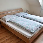 Rent 2 bedroom apartment of 85 m² in Brno