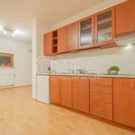 Rent 1 bedroom apartment in Capital City of Prague