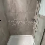 Rent 3 bedroom apartment of 85 m² in Adria