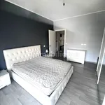 Rent 2 bedroom apartment of 57 m² in Turin