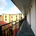 Rent 1 bedroom apartment in Prague