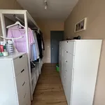 Rent 1 bedroom apartment in Leuven