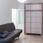 Rent 1 bedroom apartment in Capital City of Prague