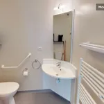 Rent 1 bedroom apartment of 24 m² in Toulouse