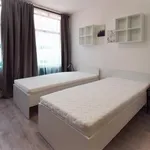 Rent 1 bedroom apartment in Brno