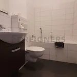 Rent 1 bedroom apartment of 27 m² in Brno