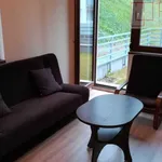 Rent 2 bedroom apartment of 33 m² in Szczecin