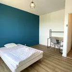 Rent 1 bedroom apartment of 20 m² in Rodez