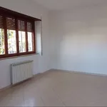 Rent 3 bedroom apartment of 90 m² in Ciampino