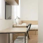 Rent a room in bilbao