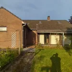 Huur 3 slaapkamer huis van 9 m² in Grand Leez (Gembloux)