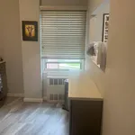 Rent 1 bedroom apartment in Rockville Centre