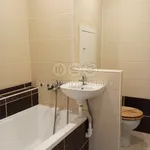 Rent 1 bedroom apartment in Chomutov