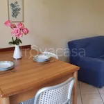 Rent 2 bedroom apartment of 36 m² in Torino