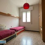 Rent 3 bedroom apartment of 75 m² in Bologna