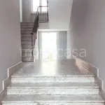 Rent 3 bedroom apartment of 80 m² in Torino