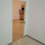 Rent 2 bedroom apartment of 52 m² in České Budějovice