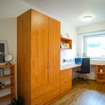 Rent 1 bedroom flat in Exeter