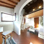 Rent 1 bedroom apartment in Florence