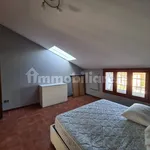 Rent 3 bedroom apartment of 70 m² in Cuneo