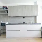 Rent 1 bedroom apartment of 40 m² in Málaga