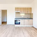 Pronajměte si 1 ložnic/e byt o rozloze 44 m² v Pilsen