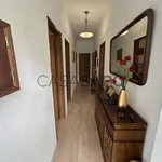 Rent 1 bedroom house of 84 m² in Tomar