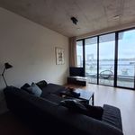 Rent 2 bedroom apartment of 65 m² in Noordelijke IJ-oevers-West