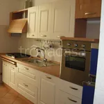 Rent 3 bedroom apartment of 80 m² in Ancona