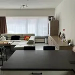 Rent 1 bedroom apartment in SCHELLE