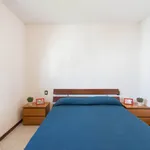 Rent 1 bedroom apartment in Milan