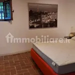 Rent 2 bedroom apartment of 50 m² in Prato